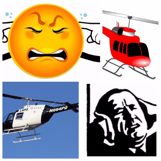 4th Amendment Flight