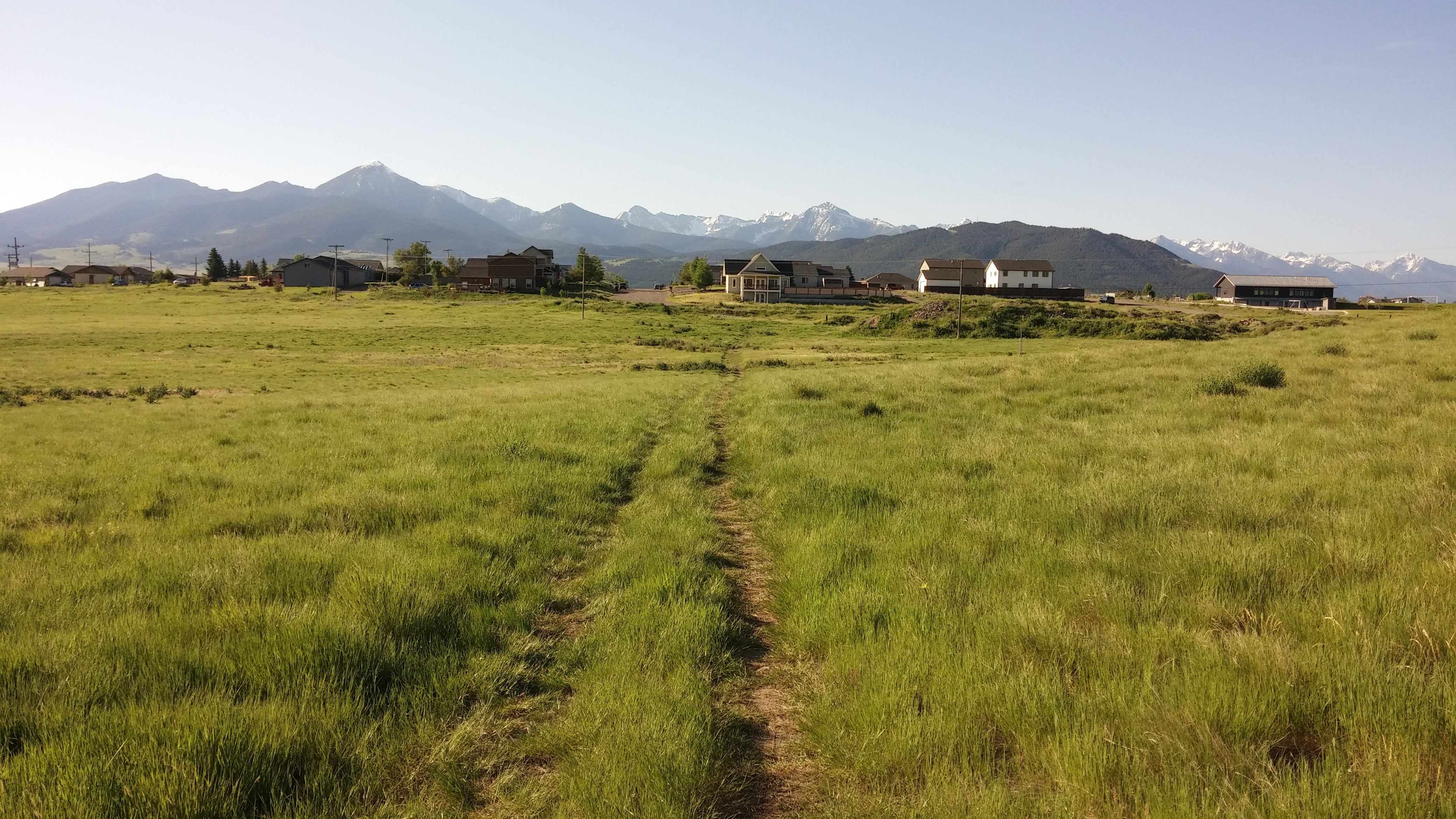 Livingston2 -- Work Walk