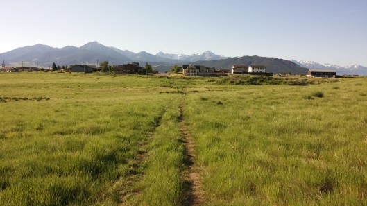 Livingston2 -- Work Walk